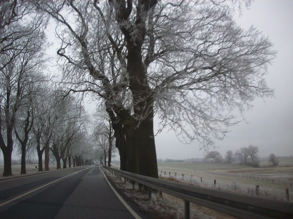 Дорога в Шверин