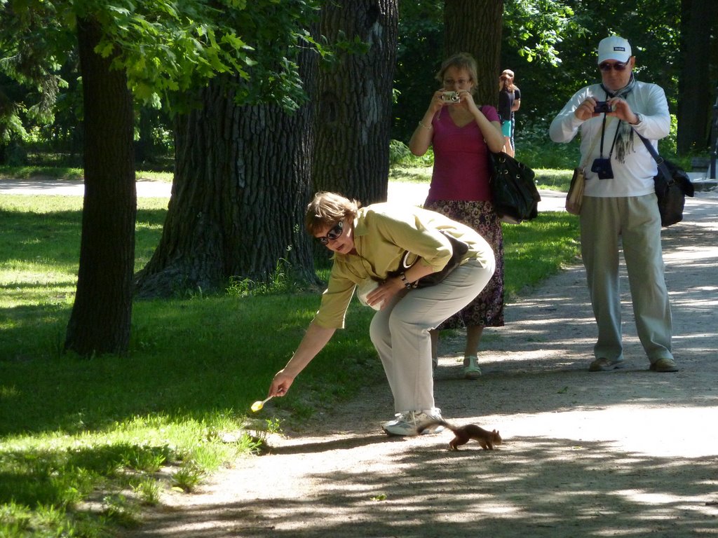 Царское Село.