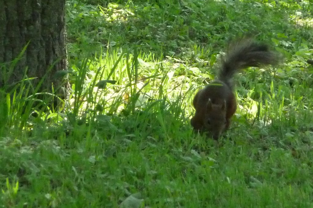 Царское Село.